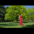 model in red gown by a tree